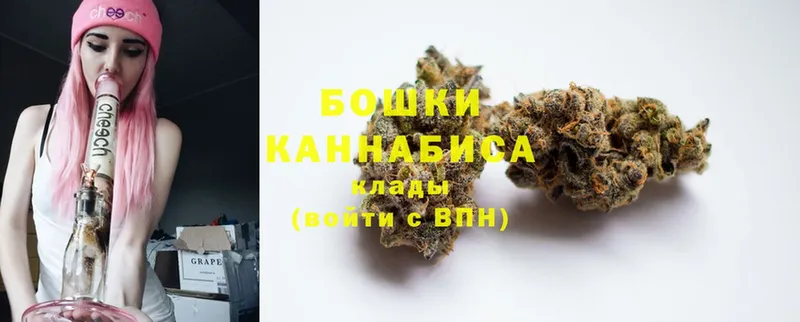 Марихуана SATIVA & INDICA  Карачев 